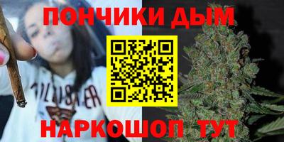 крисы Краснознаменск