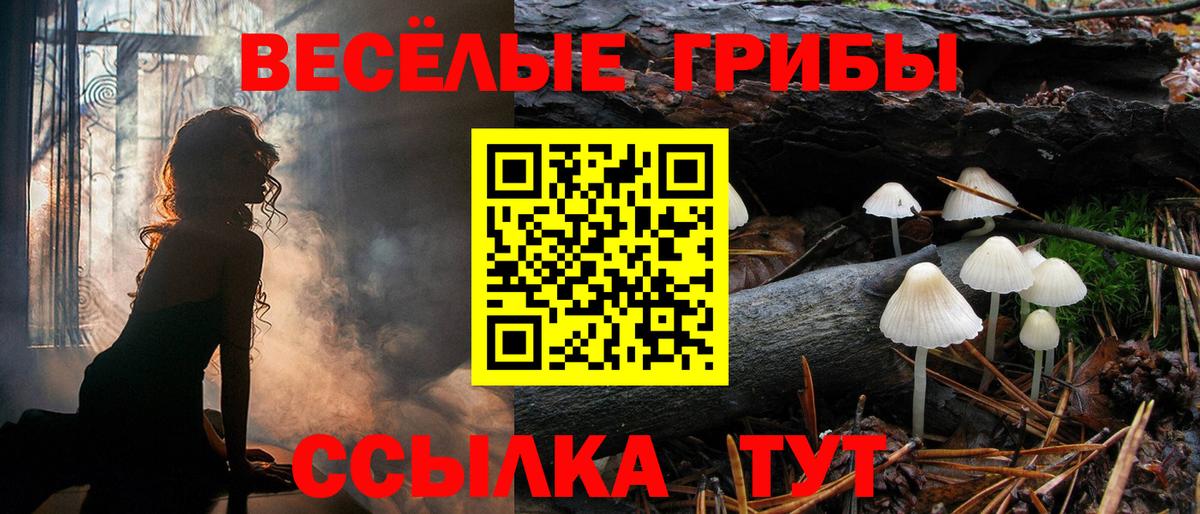 Дивногорск  Псилоцибиновые грибы мицелий  Вход с VPN 
