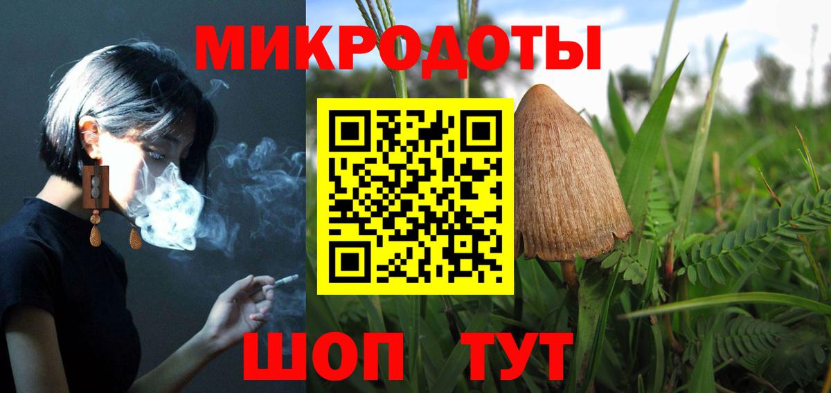 Псилоцибиновые грибы Psilocybe Дивногорск